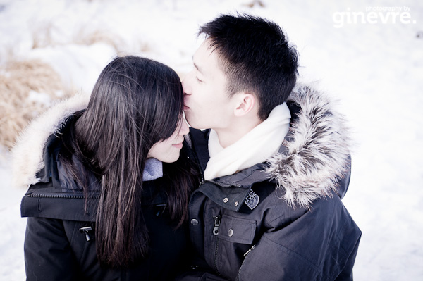 Banff engagement photography