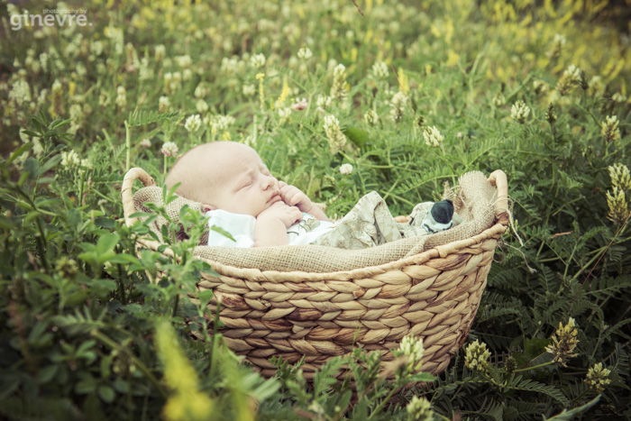 Canmore newborn photography