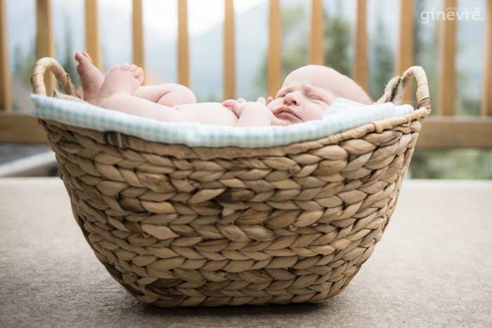 Canmore newborn photography