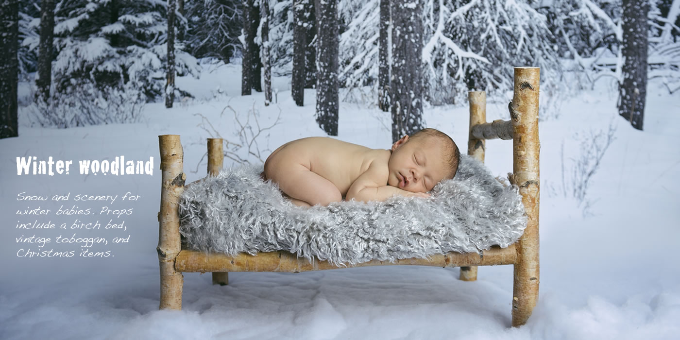 newborn winter theme